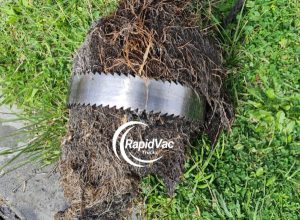 Vac Trucks Clear Blocked Drains from Tree Roots