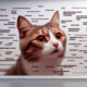 Cat Meme Guide: Tips for Achieving Feline Internet Fame