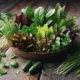 Fresh Summer Salad: A Vibrant Guide for the Season