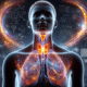 Thyroid Blood Test Guide for Grimsby’s Health Needs