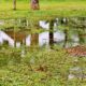 Stormwater Drain Solutions in Wollongong: Understanding Causes