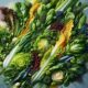 Salad Recipes for Fresh and Tasty Meals