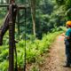Zip Lining Adventures: Explore Belize’s Canopy Tours