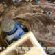 Victorian Tiles Restoration: Your Complete Step-by-Step Guide