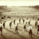 Germiston Golf Club: A Premier Spot for Golf Enthusiasts