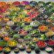 Plant-Based Diets for Pets: Your Essential Guide