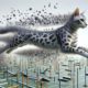 Egyptian Mau Speed Training for Enhanced Agility