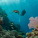 Belize Barrier Reef: Your 2025 Snorkelling and Diving Destination