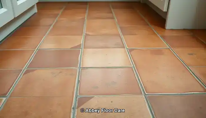 Identifying the Factors Contributing to Quick Dirt Build-Up on Terracotta Tiles