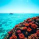 Belize Travel Guide: Essential Location Information
