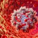 Ferritin Blood Test Guide for Bootle Residents’ Health