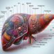 Liver Blood Test: Essential Guide for Maidstone Locals