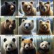Surviving a Bear Attack: Essential Tips You Need