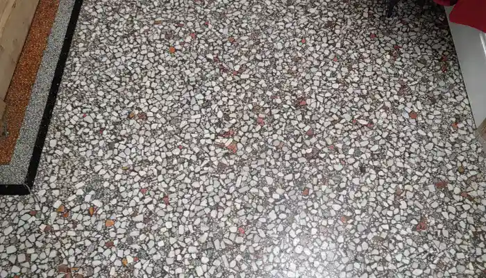 Terrazzo Floors: Care and Restoration Tips for Aussie Homes