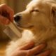 Flea Combing Routines: Top Tips for Your Pets