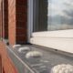 Bird Proofing Solutions: Gel Repellent Alternatives Without Spikes