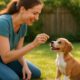 Housebreaking Tips: Effective Training Schedules for Pups