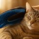 Grooming Gloves: The Ultimate Fur Care Solution for Cats
