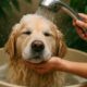Pet Bath Water Conservation Tips for Australian Homes