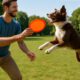 Frisbee Throwing Techniques for Training Your Dog Now!