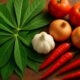 Cassava Leaf Stew Recipes for Nutritious Family Dinners