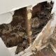 Termite Inspection Timing: Optimal Winter Tips for Sydney Homes