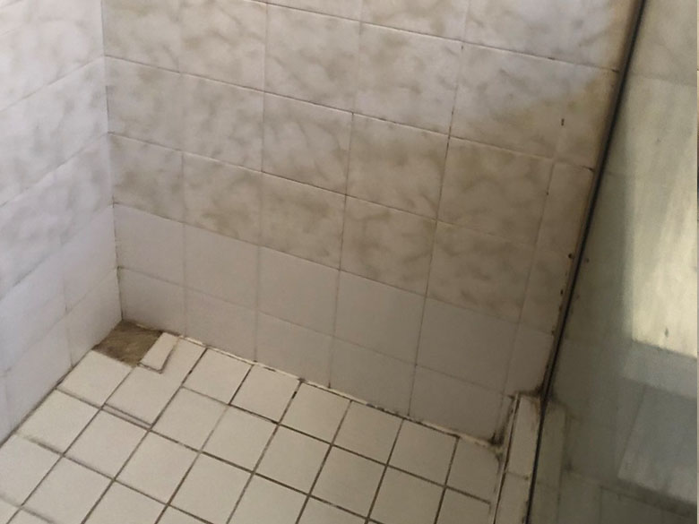 Shower Regrouting