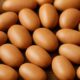 Fermented Locust Bean: Easy Homemade Ogiri Recipe Guide