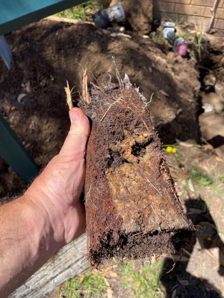 Clay Soil’s Threat to Caboolture Pipes Uncovered