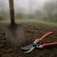 Garden Maintenance Tips for Martock’s Seasonal Care