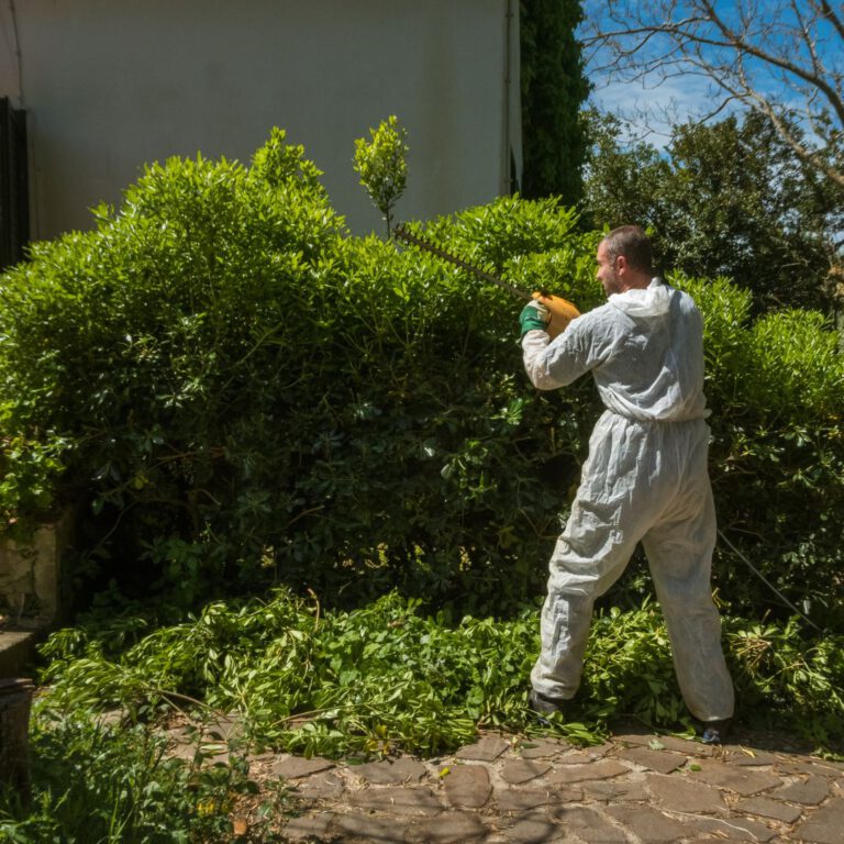 Green Waste Solutions: 4 Efficient Ways to Dispose of It