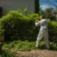 Green Waste Solutions: 4 Efficient Ways to Dispose of It