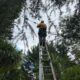 Electrical Defect Notice Response on the Mid North Coast