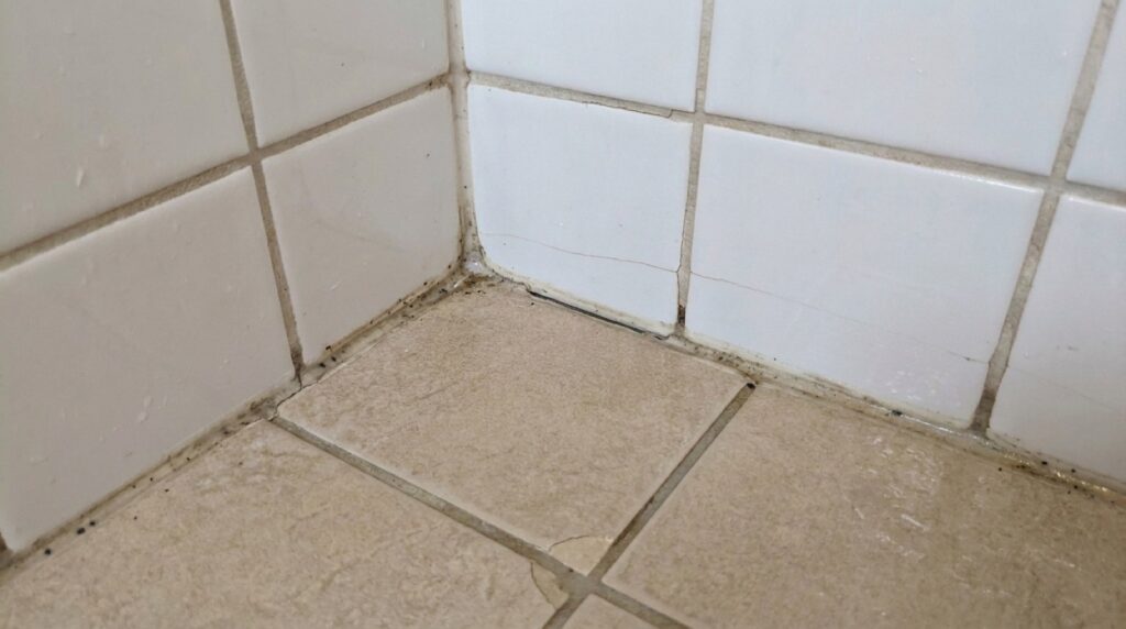Cracked grout and mouldy, lifting silicone in a leaking shower corner